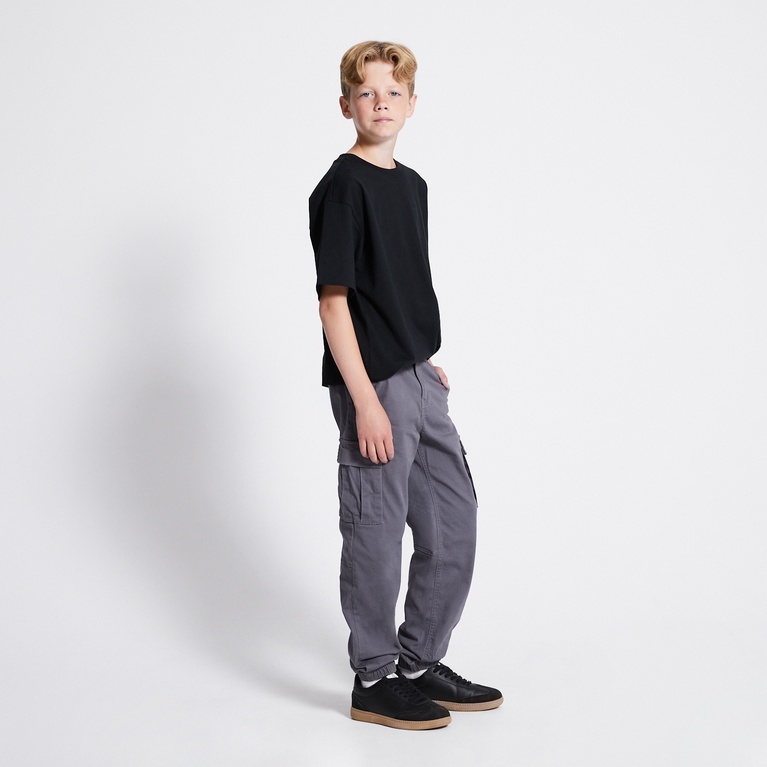 Cargo pants "Aurelius star 2.0" Grey